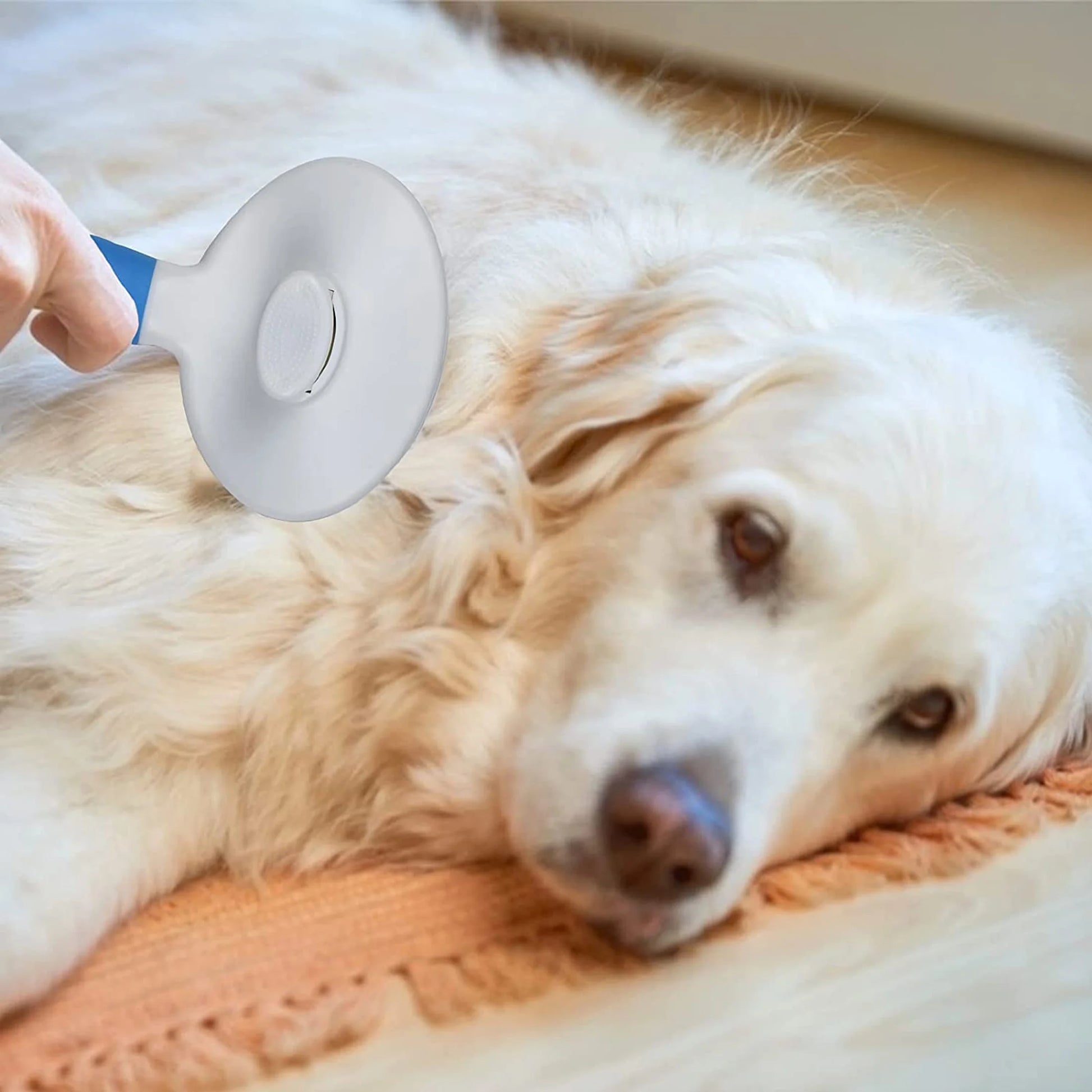 Self-Cleaning Deshedding Tool for Cats and Dogs - Effective Undercoat, Mat, Knot, and Flake Removal for All Hair Lengths