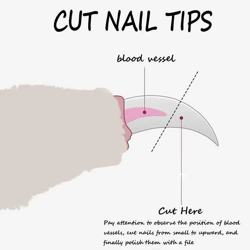 Professional Pet Nail Clippers for Dogs and Cats - Grooming Supplies for Claw Care
